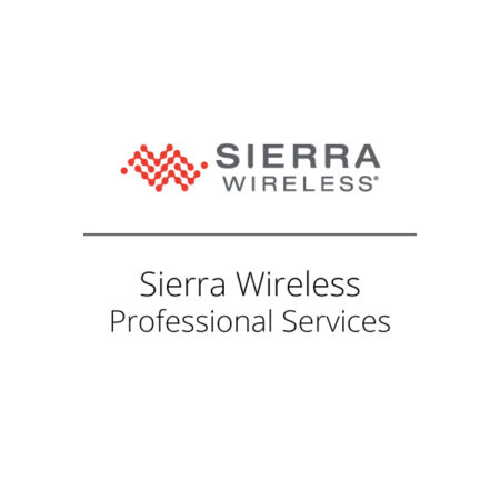 Sierra Wireless Professional Services